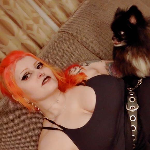 Meet your Posher, Rexie - Picture 2 of 4